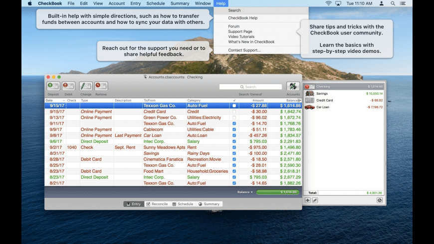 Checkbook ledger software for mac